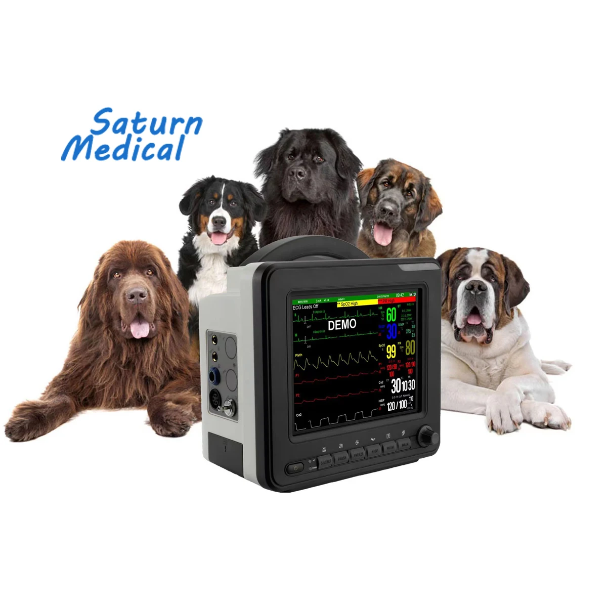 Hot Sale 6 Multi-parameter Digital Pet Vet Veterinary Health Pulse Oximeters SPO2  Bpm  Pressure  With Etco2
