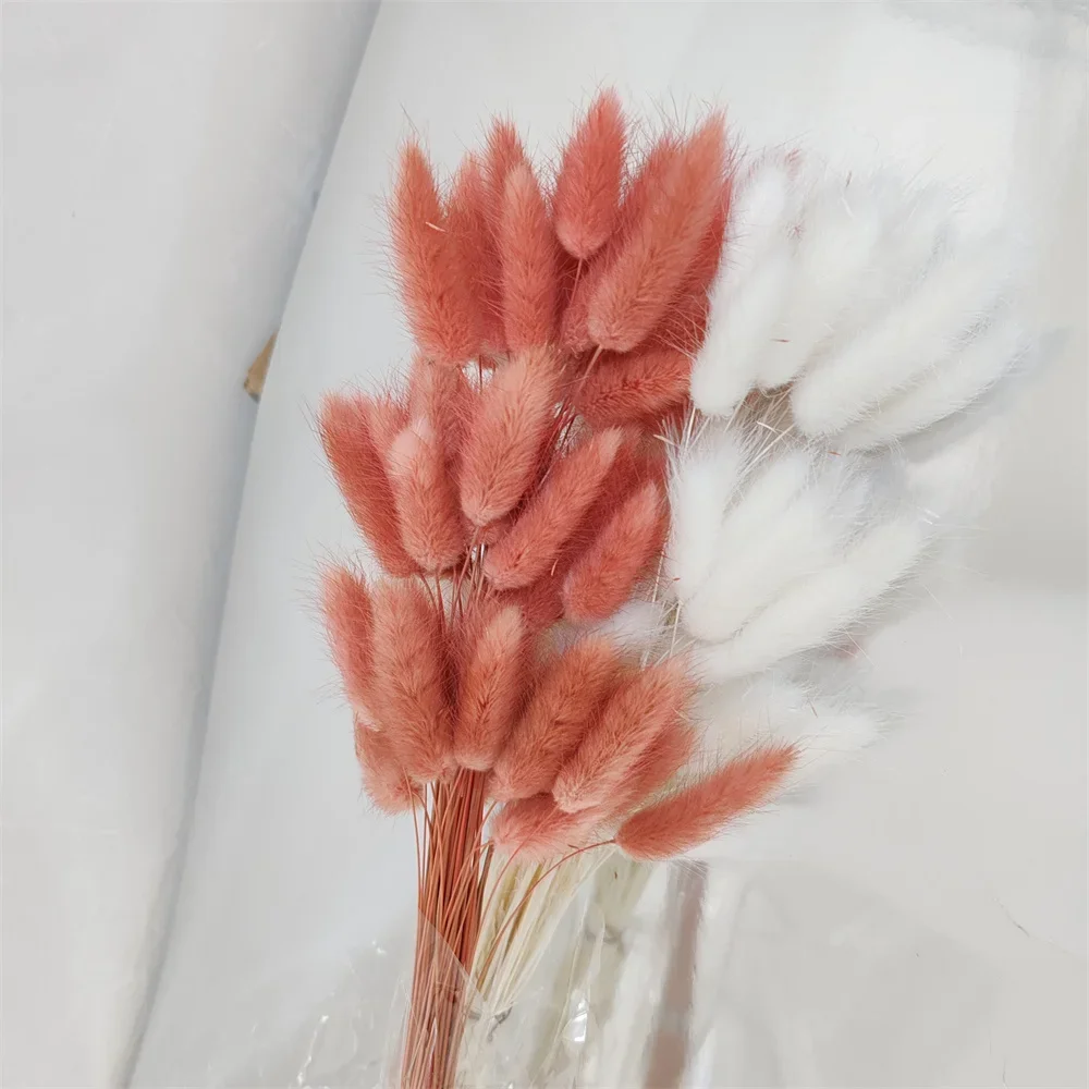 

Lifelike Lagurus Bunny Tails Artificial Dried Flowers Perfect for Wedding Bouquets, Natural Pampas Grass - Inspired Decor, Home