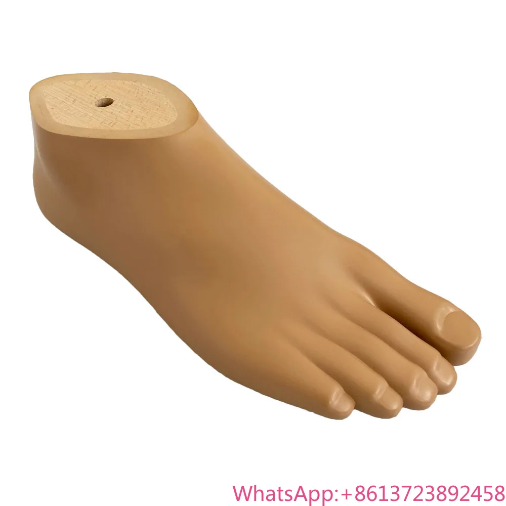 

Prosthetic Foot Implants Sach Foot Artificial Limbs Prosthetic Sach Foot