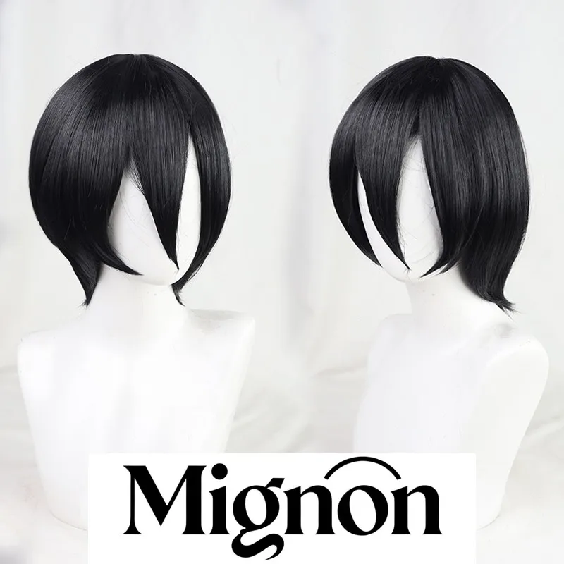 

Атака Титанов Последний сезон Микаса Акерман парик для косплея черный сток подарок на Хэллоуин