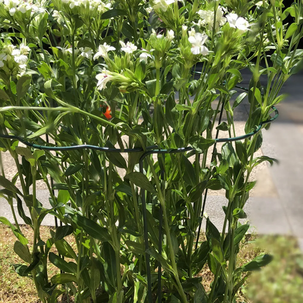 

Набор из 4 металлических опор для садовых растений: подпорки для стеблей, для горшечных цветов, для вертикального роста, защита от ветра, естественный дизайн