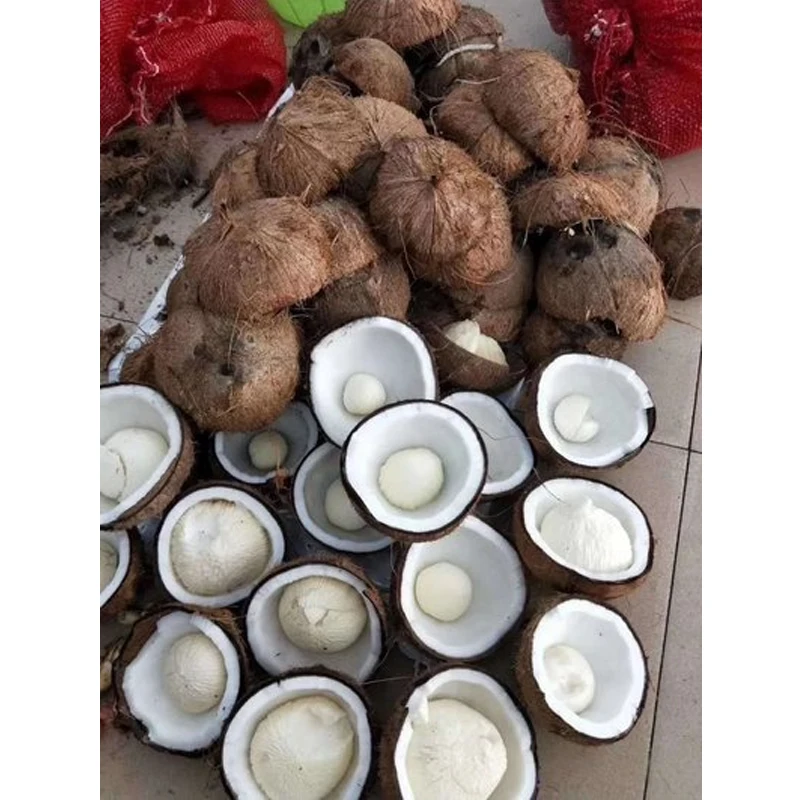 New Coconut Brown Skin Removing Peeler Machine Coconut Shell Fiber Removal