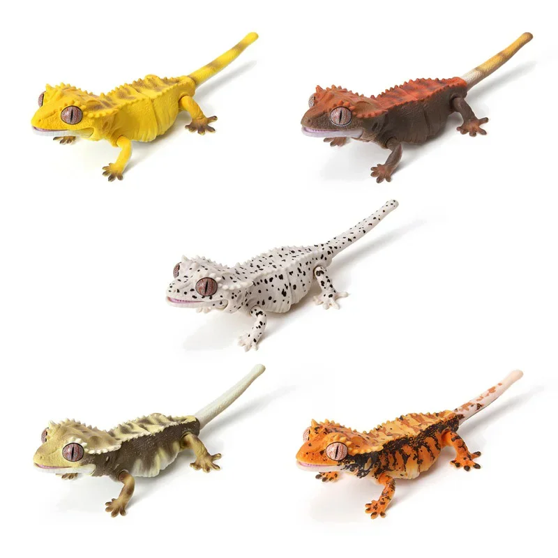 Japanese Genuine Gacha Scale Model Biological Cognitive Model Mini Eyelash Gecko Lizard Larva Action Figure Toys