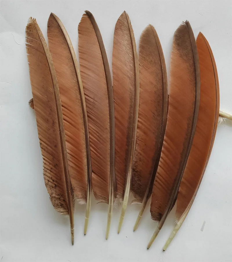 50pcs/lot!28-40cm Cinnamon Brown Peacock Flight Quill Feathers for Handwork Party Plume Carnival Headwear Decoration
