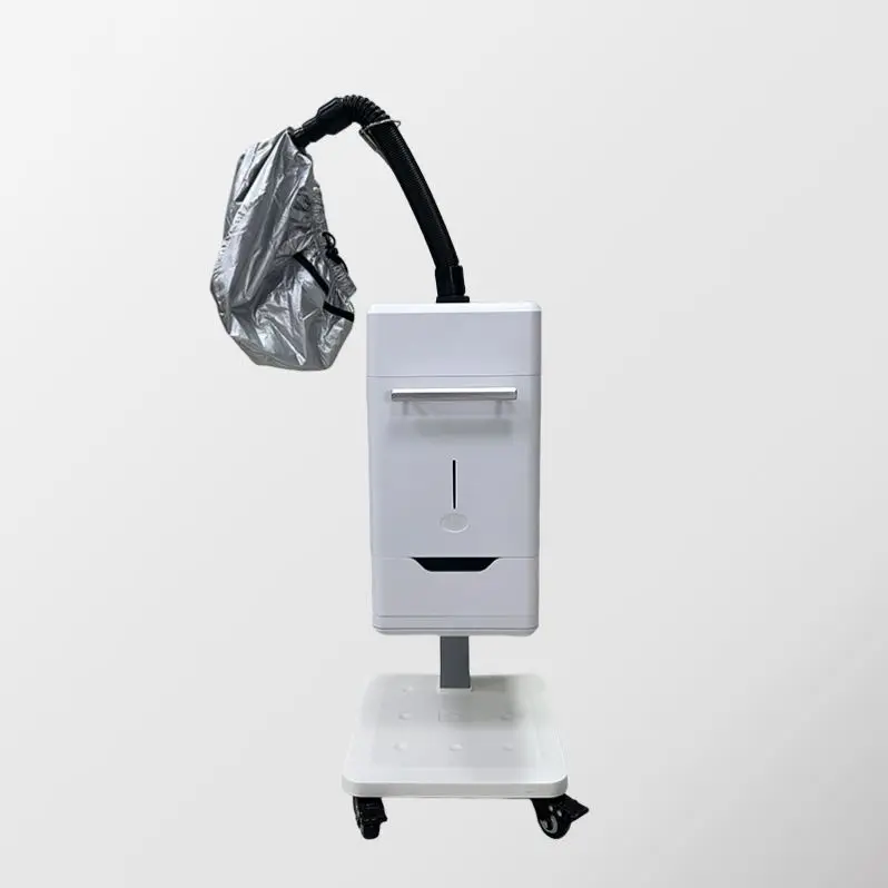 Portable ozone nano-fog hair steamer