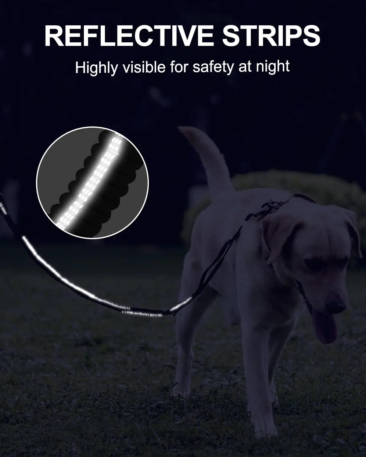 Taktische Hundeleine, stoßdämpfende Leine mit 2 gepolstertem Griff, Metallclip, Auto-Sicherheitsgurt, stark, ohne Zugleine für mittelgroße und große Hunde – Detail 5