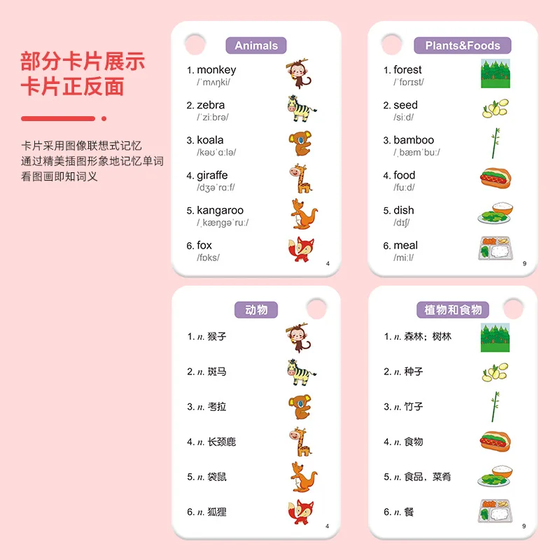 1200 Words in Primary School English, Study Cards, Pupils Can Take Shorthand and Read Phrase Cards At A Glance