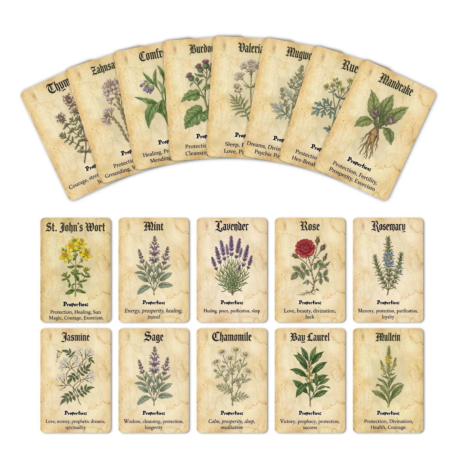 Vintage magische plantenthema- - Vintage Collectible Cards recensie en prijs