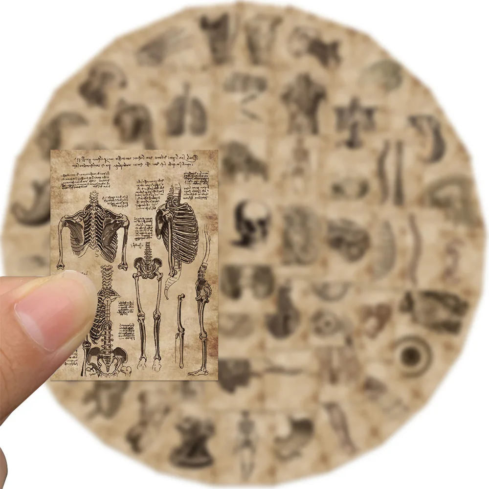 56pcs Anatomy Physiology Human Skeleton Horror Stickers Body Structure Decals Waterproof for Guitar Luggage Laptop Pad