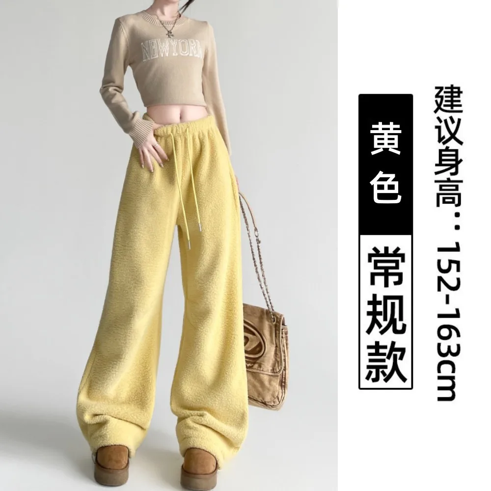 Lazy style wide-leg pants for women winter new double-sided polar fleece high-waisted loose straight pants warm casual pants