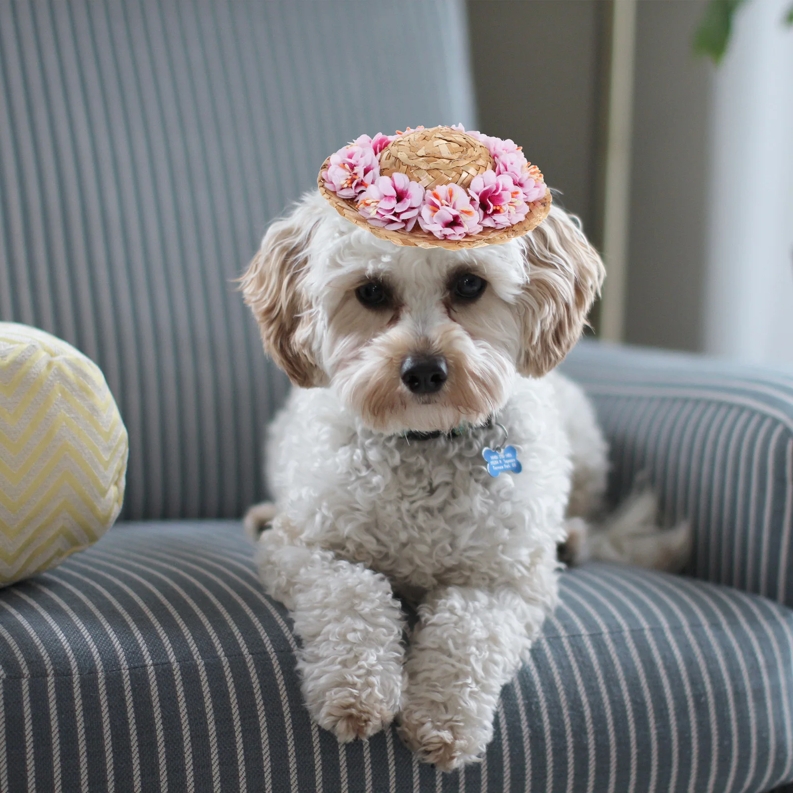

Pet Straw Hat Dog Summer Sunhat Spring Size S Pink Flower Drawstring Adjustable Chin Strap Pet Straw Cap Party Accessory