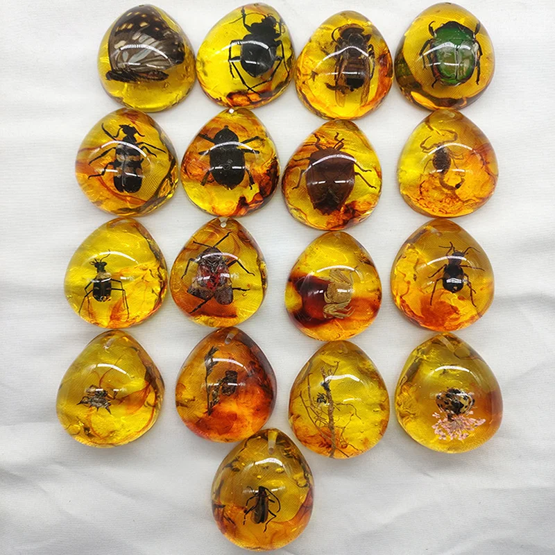 1Pcs Insects Amber Gemstone Scorpion Natural Mineral Stones Home Decoration DIY Hand Crafts Specimen Gift Wholesale Random