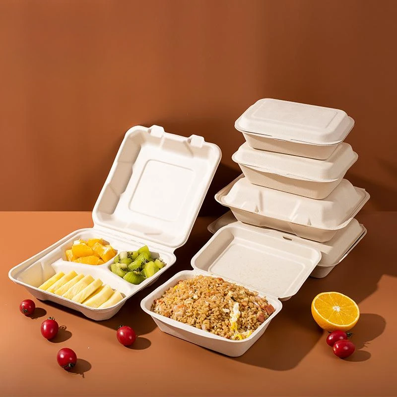 

50pcs Disposable Biodegradable Pulp Lunch Boxs Connected Takeaway Box with Lid Food Grade Multifunctional Lunch Lockboxes