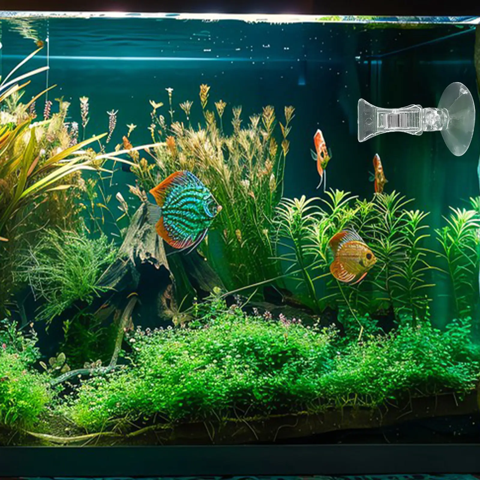 2 Clips para Vegetales de Acuario con Fuerte Succión para Algas Secas, Láminas de Algas Marinas y Lechuga, Herramienta de Alimentación, Accesorios para Acuarios