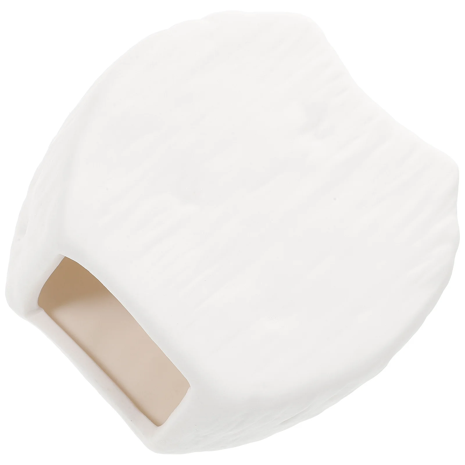 

Premium Ceramic Vase Smooth Touch Modern Hydroponic Flowerpot Floral Arrangement Container Home Office Decor Hydroponic Vase