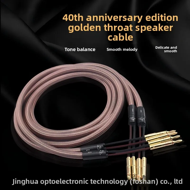 

Аудиокабель Golden Voice 40th Anniversary Edition из чистой меди, Hi-Fi, для основных акустических систем