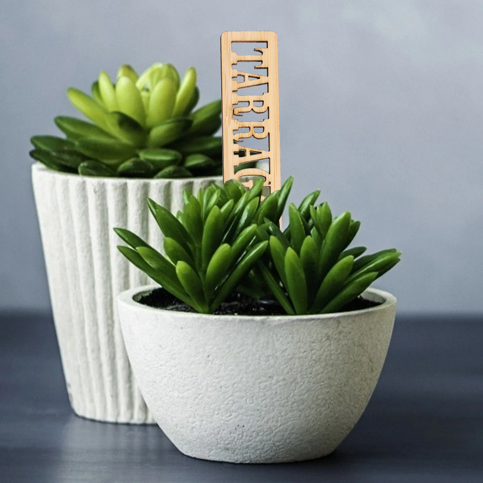 

24 Pcs Bamboo Plant Labels for Garden Herb Markers Tags Plant Decor Durable Long Time Use Outdoor Flower Pot Courtyard