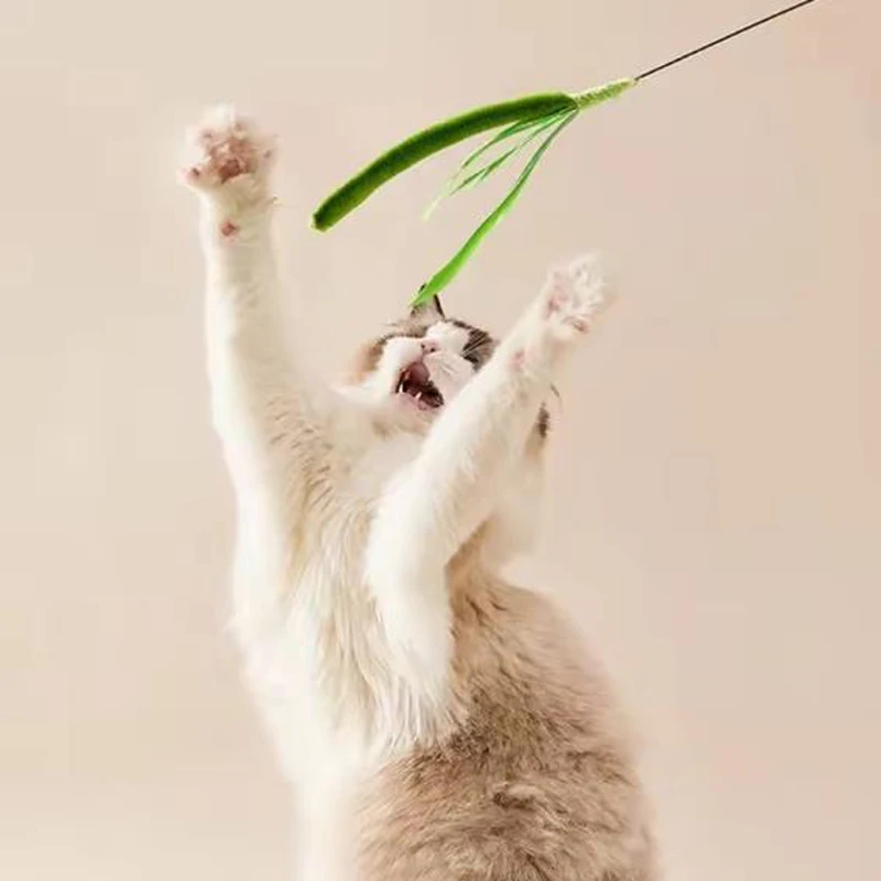 Kimpets Cat Dog Tail Grass Dog Sage Feather Long Pole Cat Teasing Stick Bite Resistant Self Soothing Tool Cat Toy Pet Supplies
