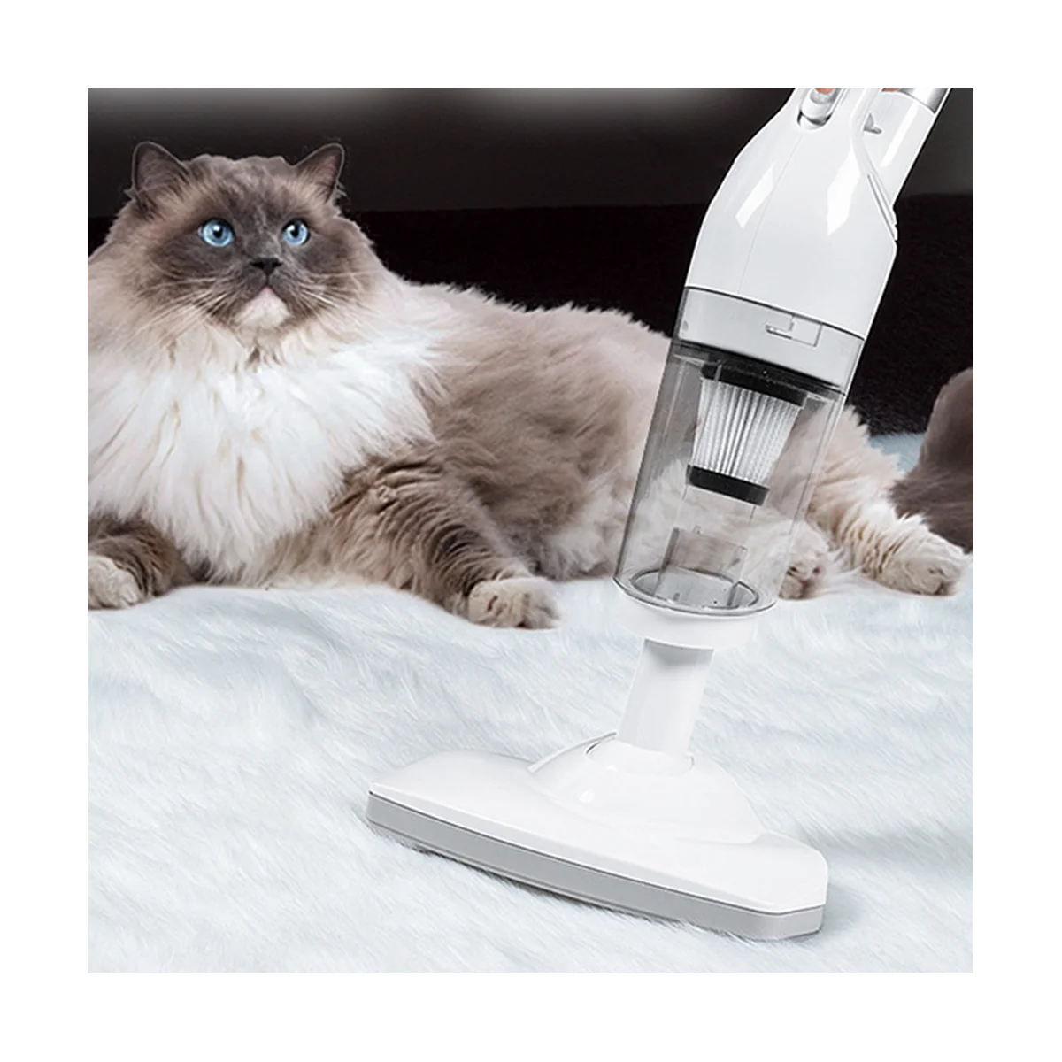 5500pa Auto Staubsauger starke Saugkraft tragbarer Staubsauger Dual-Use-Handrei nigung Desktop-Büro