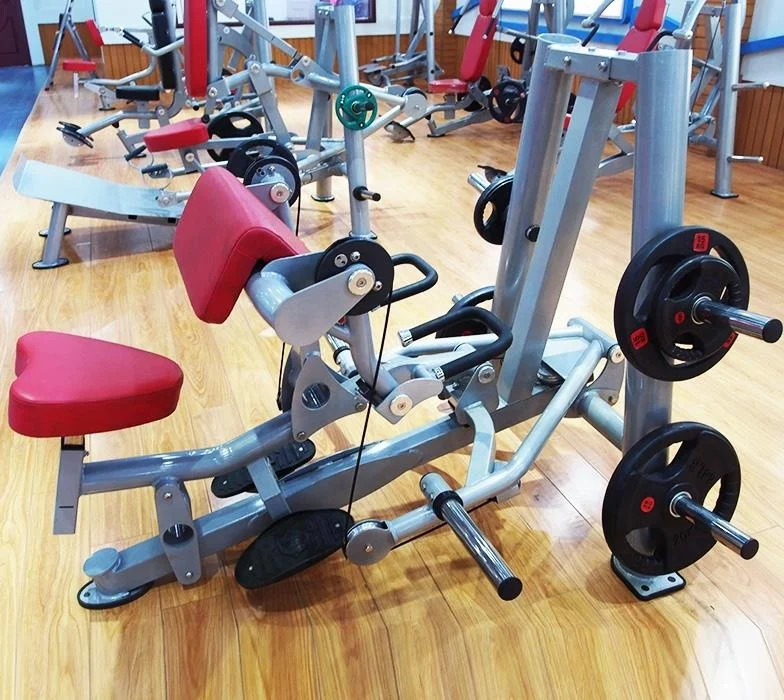 

Bodybuilding Strength Biceps Equipment Gym Machine Biceps Curl Camber Curl