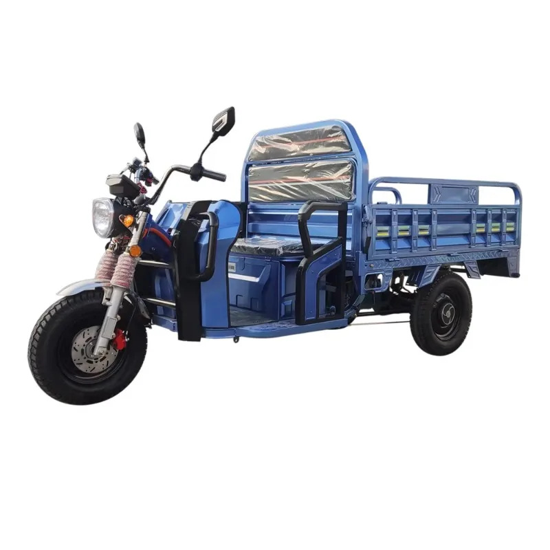 Energy Saving Electric Tricycle Three Wheel Cargo Electric Trike Low Power Consumption Farm Short Distance Goods Haulage Long