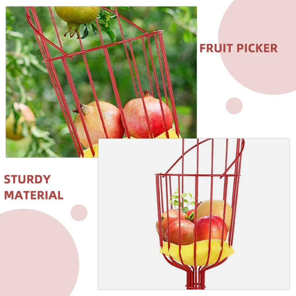 

Fruit Picker Cage Tool Heavy Duty Stainless Steel Fruit Picking Device For Apple Orange Mango Garden Harvesting Supply