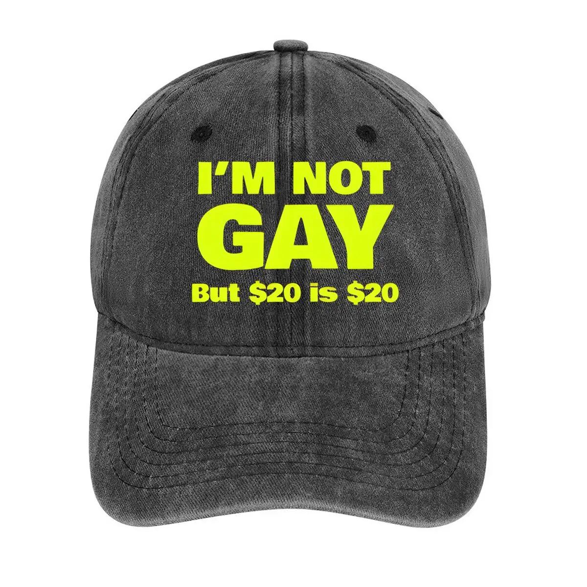 

I'm Not Gay But $20 is $20 Controversial and Humorous Statement Design Washed Baseball Cap