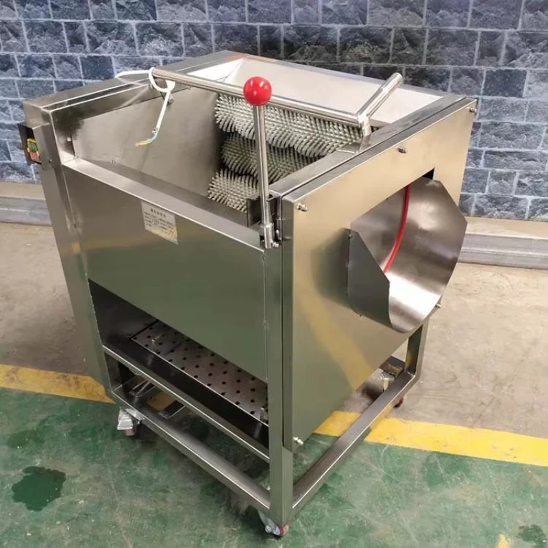 Automatic Vegetable Cassava Potato Carrot Ginger Cleaning and Peeling Machine and Fruit Cleaning Machine