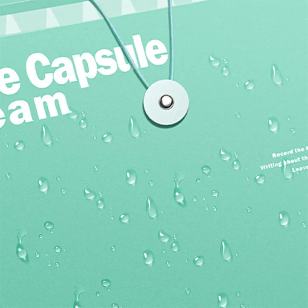 Portable 12 Pockets A4 Organ Bag Insert Folder Large Capacity File Folder Waterproof Thickened Document Storage Bag Test Paper