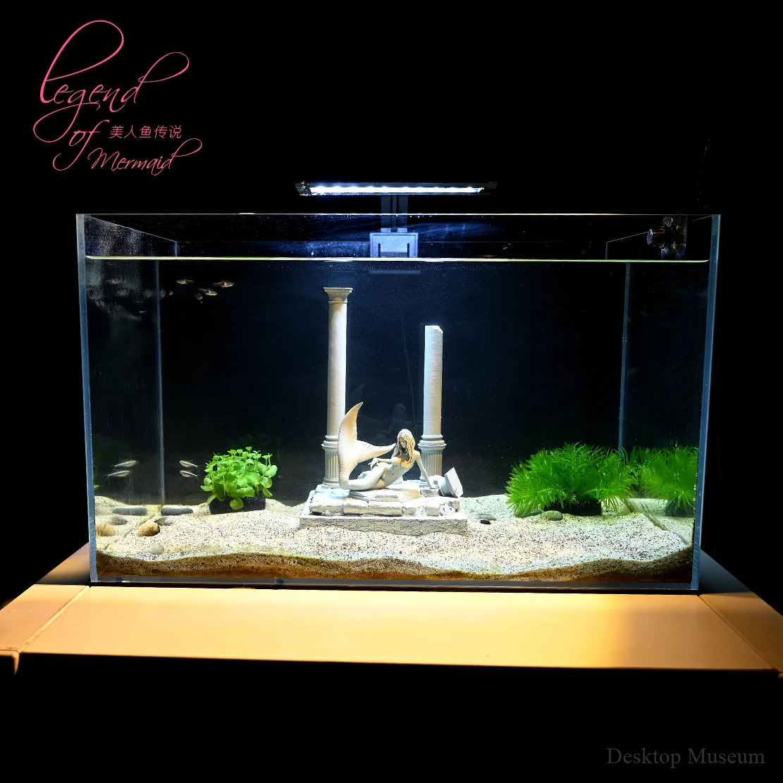 Fish tank water view, aquarium landscape, deep sea mermaid LTCP-429+3D