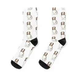 Red Merle Australian Shepherd / red Merle Aussie Socks christmas gifts Toe sports Socks Man Women's