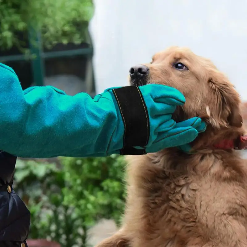 高品質の革製ペット用手袋,軽量,臀部保護用,いぼ,猫,犬,庭,トレーニング用