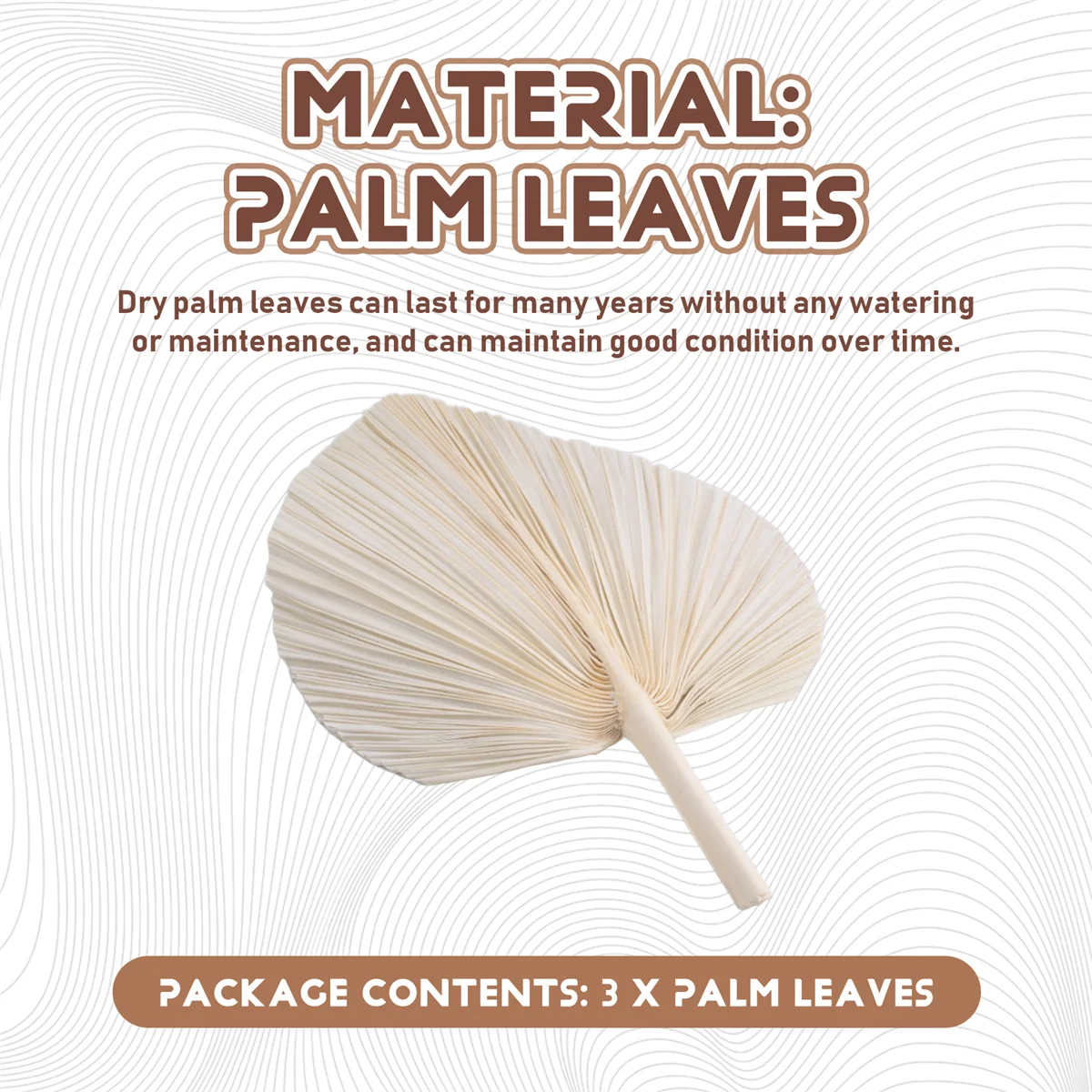 

Durable Large White Dried Palm Leaves - Premium Quality - 3 Pcs Elegant Modern Boho Home & Wedding Decor - Wall Art