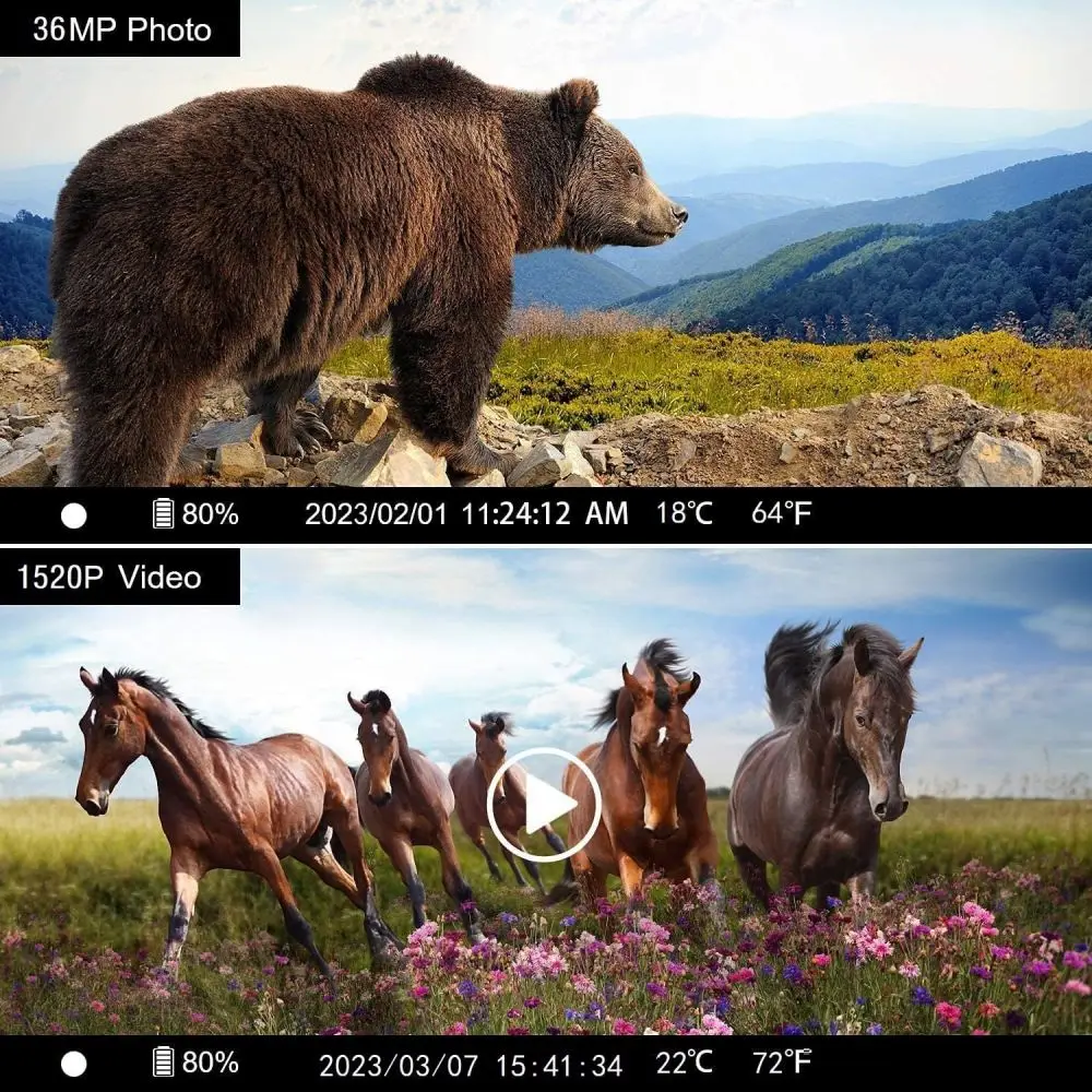 Наружная инфракрасная камера для дикой природы 36MP 4k Trail ночное видение 0,2 s активация движением Водонепроницаемая садовая ловушка для дикой