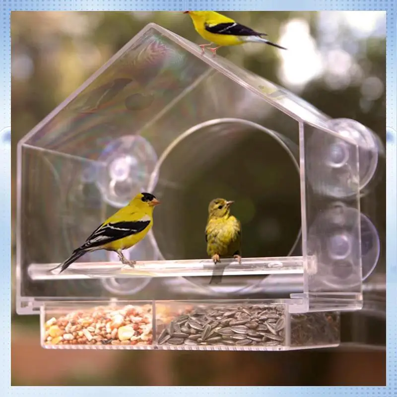 

AD-Wall Plastic Birdcage Transparent Small Pet Birdcage Wall-Mounted Feeder Outdoor Adsorption Plastic Bird Feeder