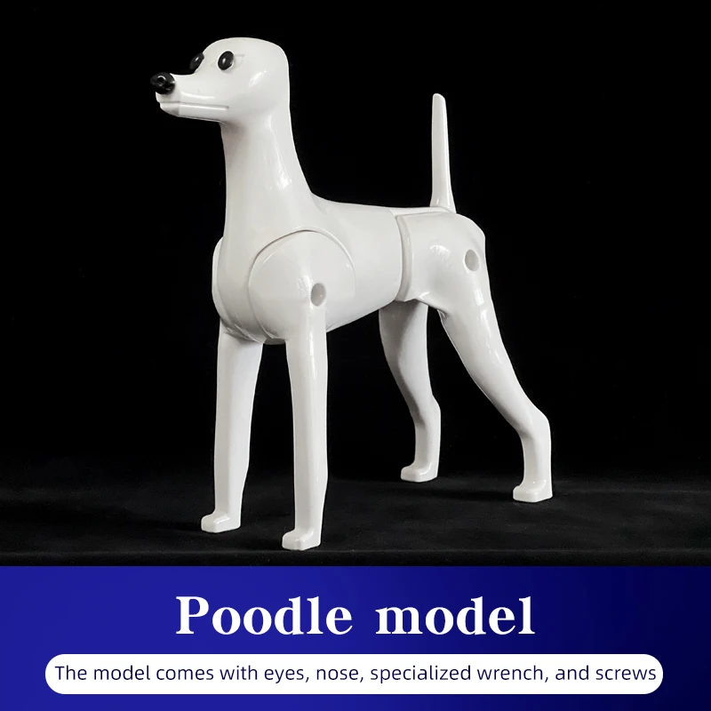 Pet Simulation Hair Beauty Fake Beautician Practicing Dog Standard Poodle Full Body Skeleton Model Dog for Pet Grooming image 3
