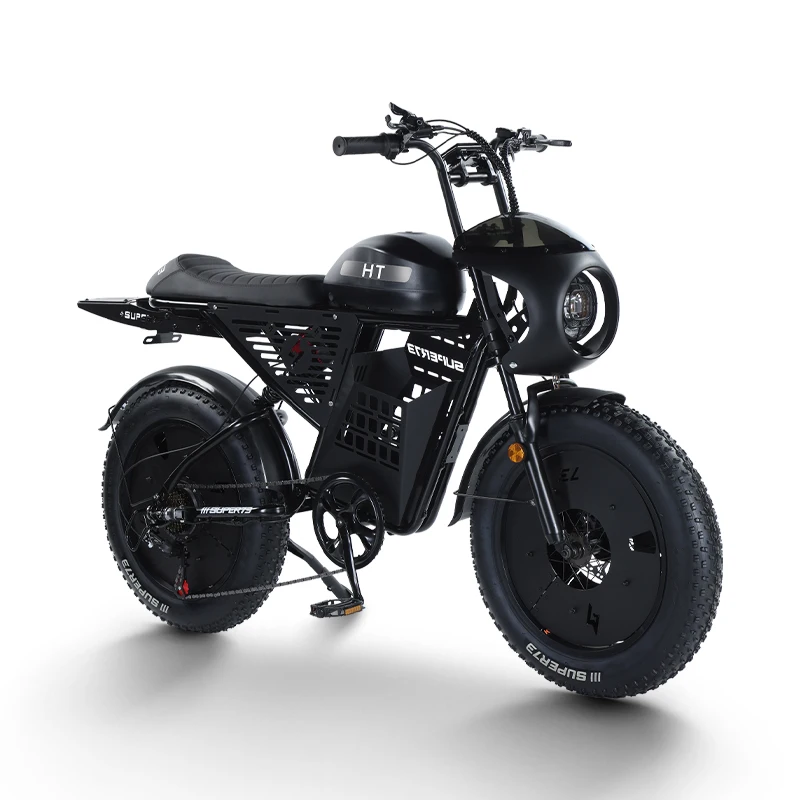 

250W-1000W Off-Road Electric Mountain Bike 48V Lithium Battery 7 Speed Derailleur 20 Inch Fat Tires Front Rear Suspension