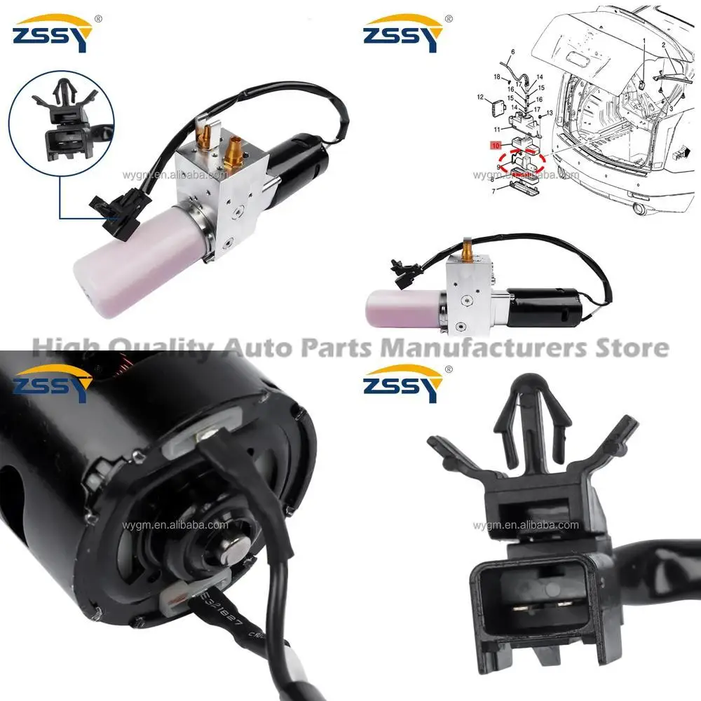 

1 pair For 13502688 Hydraulic Liftgate Pump for Cadillac SRX 2010-2015 CTS 2010-2014 25965861 20853013 25835476