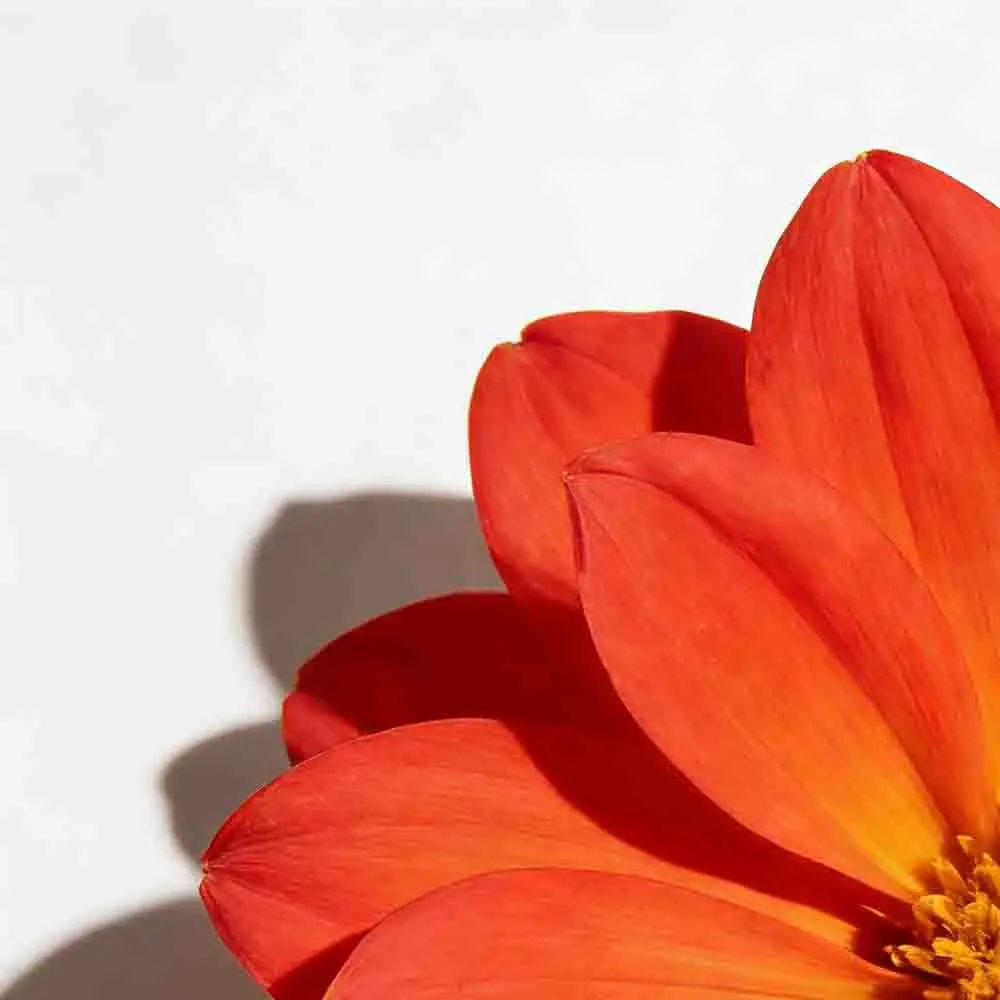 

Зарядное устройство-балансир SkyRC Q200neo для LiPo аккумуляторов, разрядник AC200W DC400W 10A для 1-6S LiPo Li-ion Life LiHV 2-15S NiCd NiMH PB RC