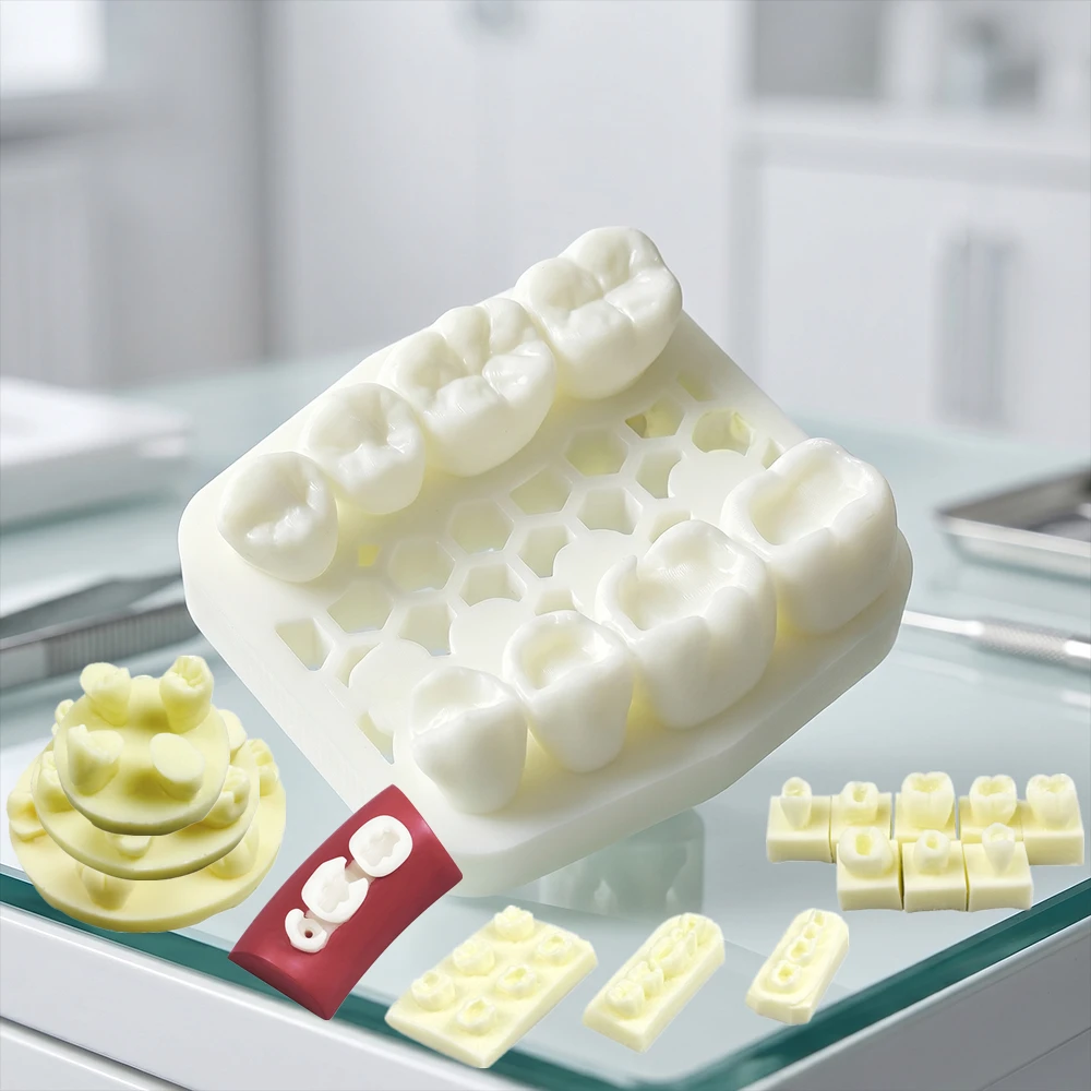 

Dental Filling Practice Teeth Model Composite Resin Training Tooth Exercise Model Block Typodont For Dentistry Students Studying