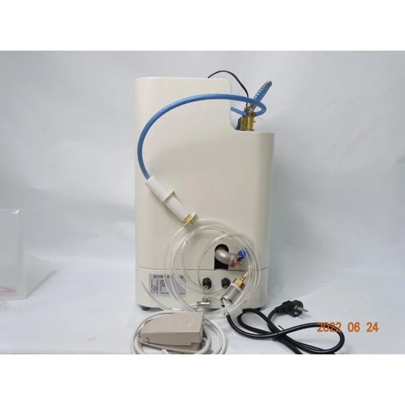 Lab Equipment 2200W Steam Cleaner Electric Lab Steam Cleaner Fully Automatic Steam Cleaner