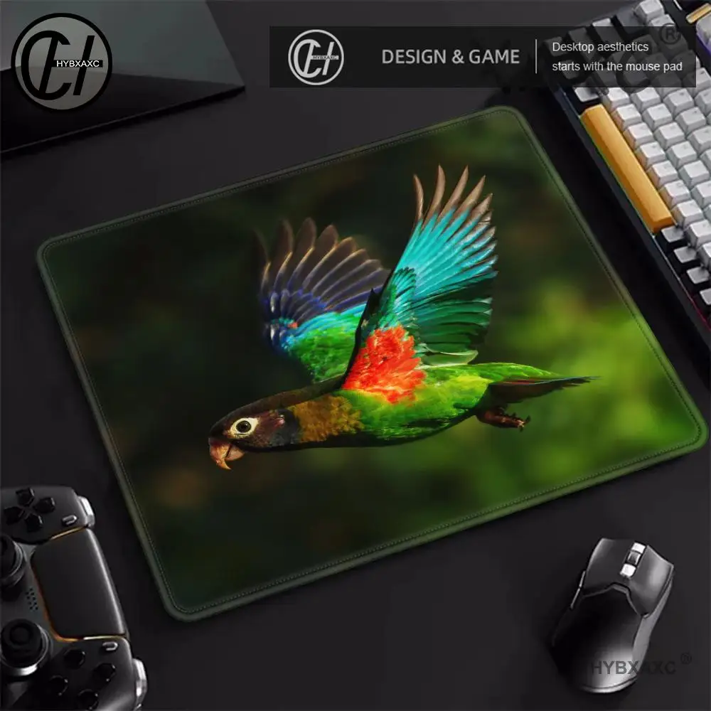 Animal Bird Parrot Game Carpet  Small Mouse Pad Desk Pad Desktop Computer Keyboard Wireless Mouse Boy Girl Gift for Play games