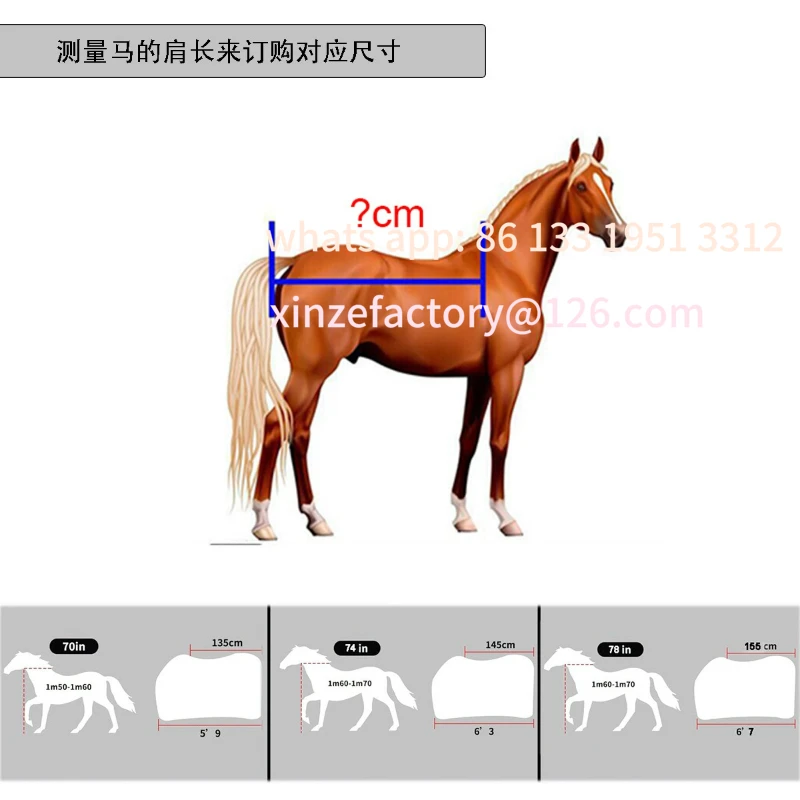 قابلة للتخصيص لملابس الحصان الشتوية الدافئة المقاومة للماء وقابلة للتنفس وخط مضغوط من قماش النايلون المبطن وحزام ملابس الحصان #2