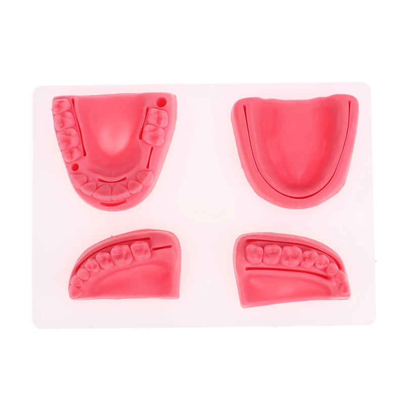 4Pcs Dental Simulation Oral Suture Model Gum Suture Teaching Training Equipment+~
