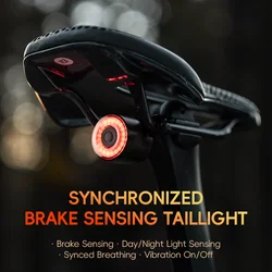 ROCKBROS Smart Brake Sensing Bike Taillight IPX6 Waterproof Type-C Synchronized Bicycle Rear Light MTB Road Cycling Tail Light