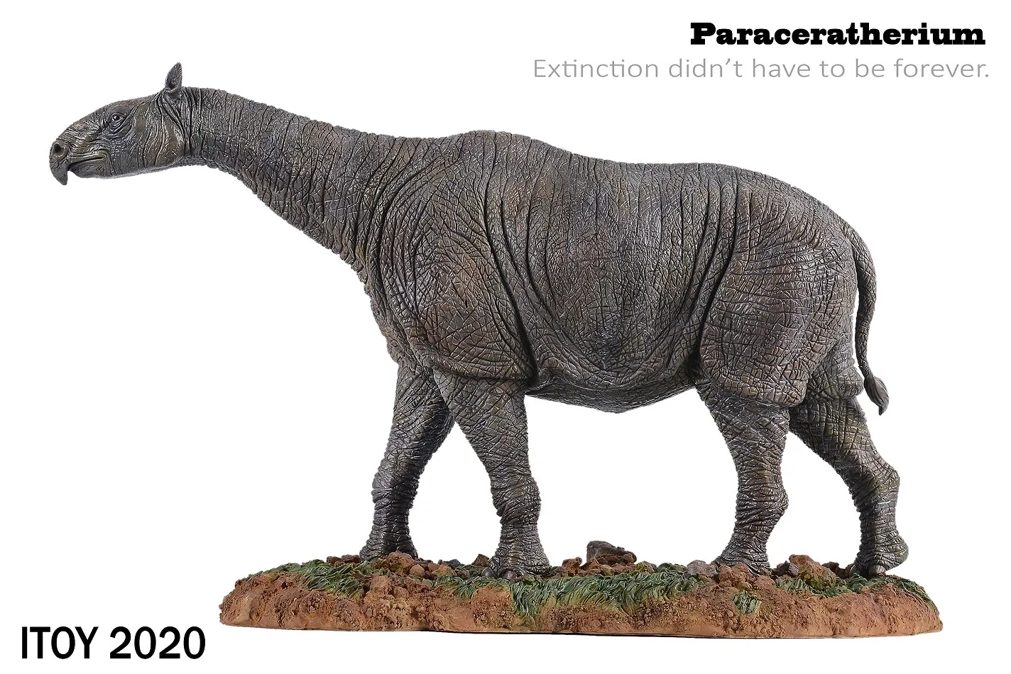 ITOY Paraceratherium  1：35 Prehistoric Dinosaurs Animals Toy Collection Model