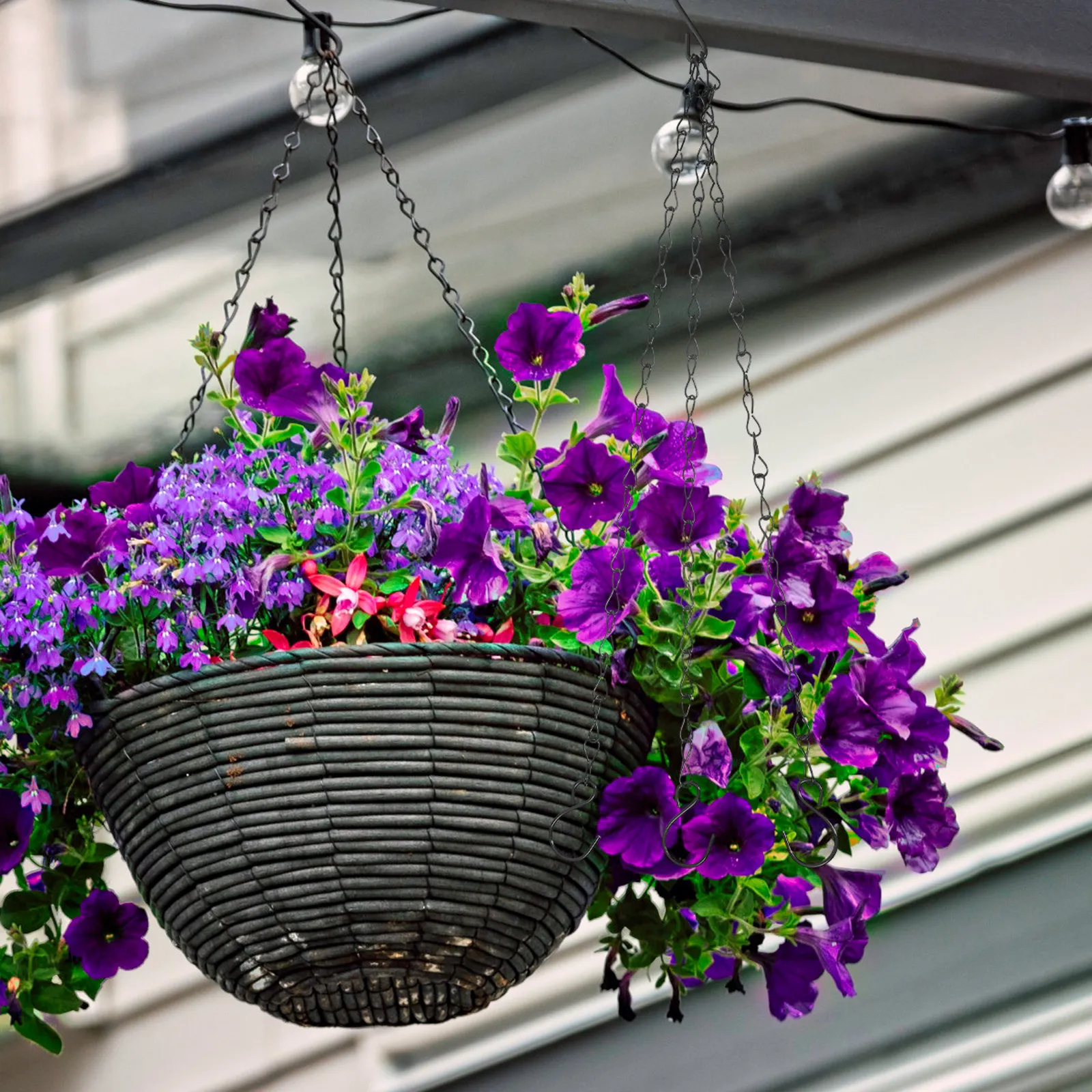 Hanging Planter Basket - 2 stuks hangende mandenkettingen van zwaar