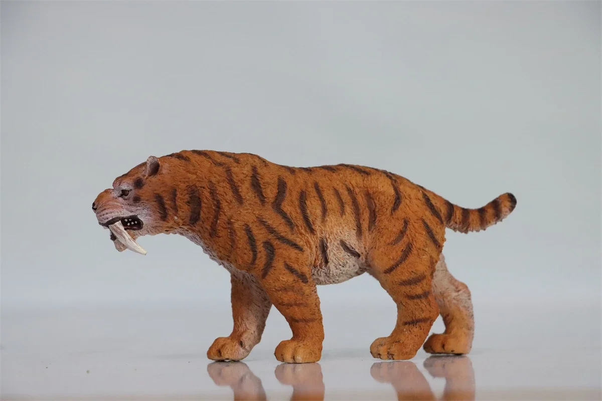 TNG Machairodus Smilodon Modello Realistico Tigre dai denti a sciabola Figura animale Bambini adulti Bambini Regalo di Natale Giocattoli Desktop Decor