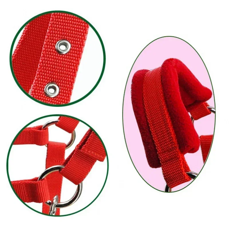 1 قطعة لينة مبطن المهر الرسن Bridle Headstall رئيس طوق ركوب الخيل اكسسوارات مريح غير مقطعة الرسن #5