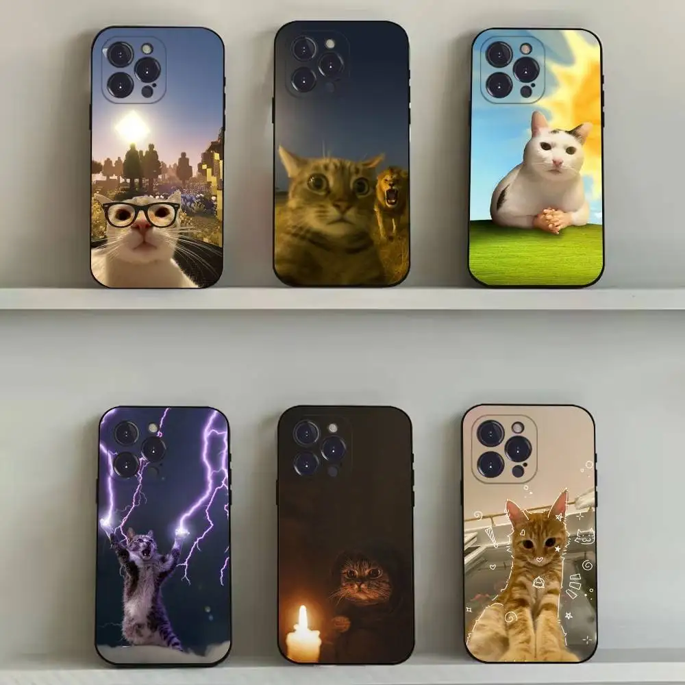 

Cute Funny Cat Cats Phone Case For iPhone 16,15,14,13,12,11,Pro,Max,Plus,X,XS,SE4,E,Mini,Soft Black Case